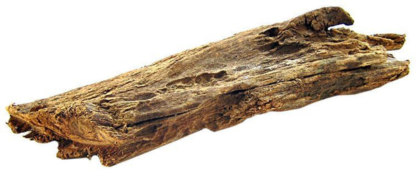 Blue Ribbon Natural Malaysian Driftwood