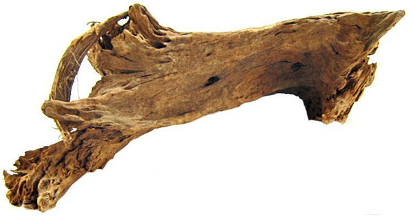 Blue Ribbon Natural Malaysian Driftwood