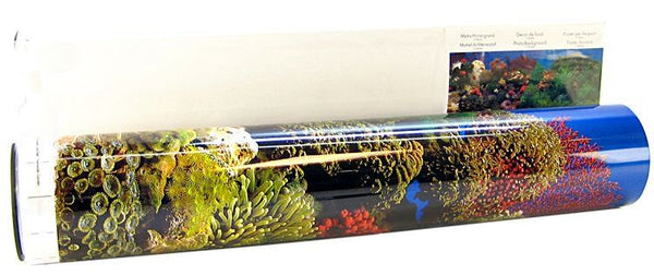 Blue Ribbon Freshwater Garden & Carribean Coral Reef Double Sided Aquarium Background