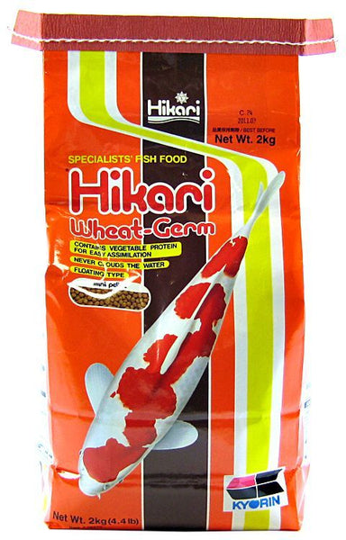 Hikari Wheat Germ - Mini Pellet