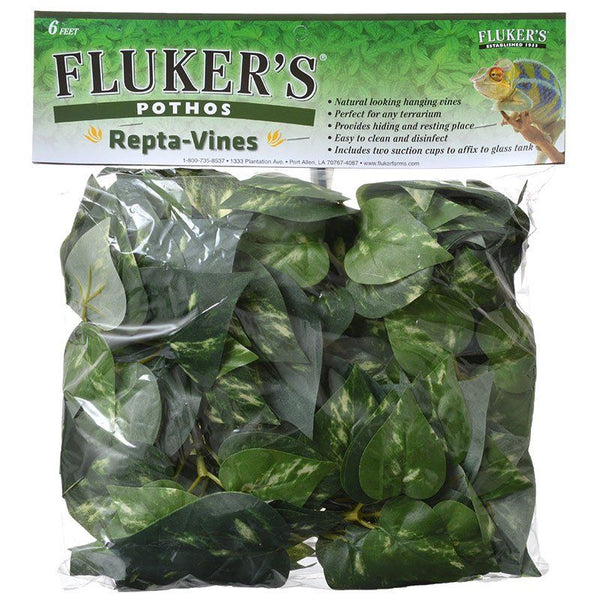 Flukers Pothos Repta-Vines