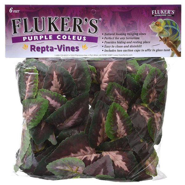 Flukers Purple Coleus Repta-Vines