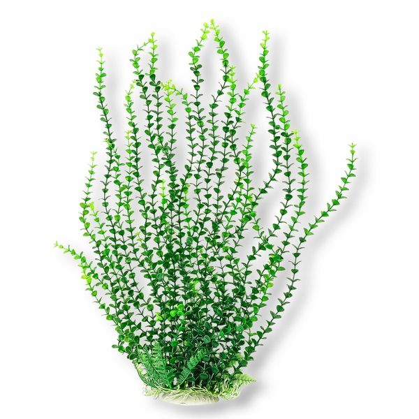 Aquatop Light Green Small Leaf Aquarium Plant