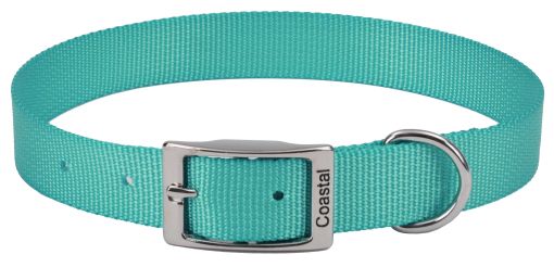 Coastal Pet Single-ply Teal Nylon Dog Collar